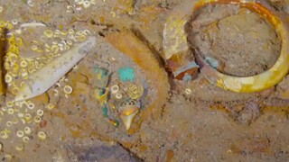 Τιτανικός: Στο «φως» χρυσό κολιέ από δόντι προϊστορικού καρχαρία