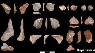 Γεωαρχαιολογική έρευνα στη Μεγαλόπολη: Βρέθηκαν λίθινα τέχνεργα 700.000 ετών