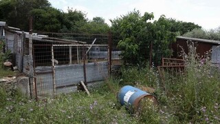 Μυστήριο με τον θάνατο της 68χρονης κτηνοτρόφου στην Καβάλα - Τα δύο σενάρια