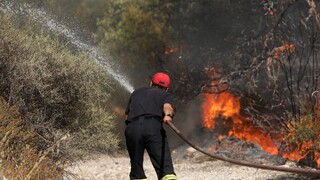 Συναγερμός στην Πυροσβεστική: Πυρκαγιά στον Μακρύλογγο Μεθάνων