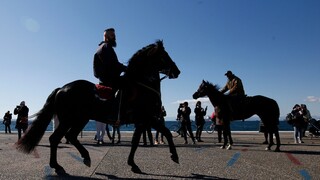 Άλογα «μπλόκαραν» την κυκλοφορία στην Εθνική Οδό Μουδανιών - Θεσσαλονίκης