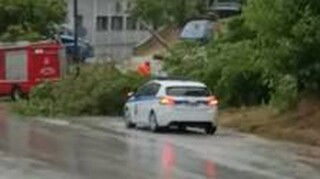 Έπεσε δέντρο σε κεντρική οδό λόγω της κακοκαιρίας στη Φλώρινα