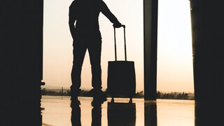 Βρέθηκαν 90 ερπετά αξίας 47.000 ευρώ κρυμμένα σε βαλίτσα ταξιδιώτη στο αεροδρόμιο της Βιέννης