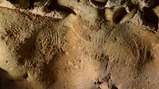 Χαρακτικά των Νεάντερταλ αναγνωρίστηκαν ως τα παλαιότερα, ηλικίας άνω των 57.000 ετών
