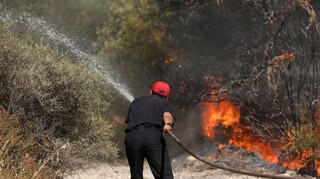 Φωτιά στην Αργολίδα: Μεγάλη επιχείρηση της Πυροσβεστικής
