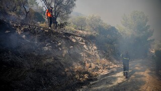 Υπό μερικό έλεγχο η πυρκαγιά σε χαμηλή βλάστηση στον Κορυδαλλό