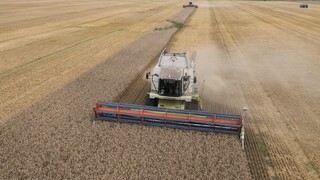 Μόσχα: Δεν βλέπει κανένα λόγο για την ανανέωση της συμφωνίας για τα σιτηρά