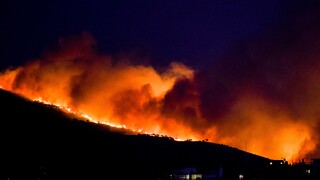 WWF: Πώς μπορεί η προδιαγεγραμμένη καύση να γίνει εργαλείο πρόληψης για τις δασικές πυρκαγιές