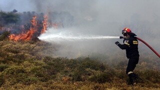 Σε εξέλιξη φωτιά στην Κερατέα - Επί τόπου δυνάμεις της Πυροσβεστικής