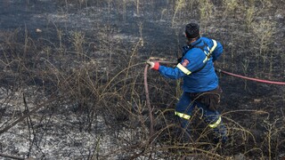 Πυρκαγιά στο Άγιο Όρος: Καίγεται δάσος στη Μονή Μεγίστης Λαύρας