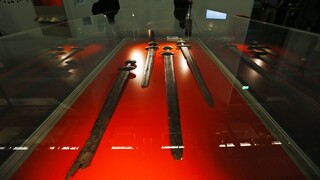 Νορβηγία: Πολίτης έσκαβε στην αυλή του και ανακάλυψε το σπαθί ενός Βίκινγκ
