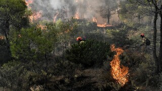Φωτιά σε δασική έκταση στο Μεσολόγγι: Ισχυρή δύναμη της Πυροσβεστικής στην περιοχή
