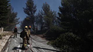 Πυρκαγιά σε δασική έκταση στο Λημέρι Κορινθίας