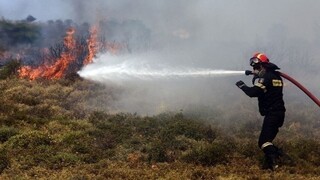 Φωτιά στην Άρτα: Καίει σε αγροτοδασική έκταση - Επί τόπου η Πυροσβεστική
