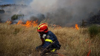 Πυροσβεστική: 33 δασικές πυρκαγιές μέσα σε ένα 24ωρο