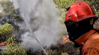 Καμπανάκι κινδύνου από την Πολιτική Προστασία για αυξημένο κίνδυνο πυρκαγιάς