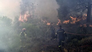 Φωτιές σε Σαρωνίδα, Λουτράκι, Δερβενοχώρια: Πού υπάρχουν ενεργές εστίες
