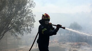 Υπό μερικό έλεγχο η φωτιά στη Σητεία: Απείλησε δασική έκταση