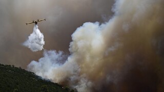 Φωτιά στη Μεσσηνία: Συναγερμός για πυρκαγιά που ξέσπασε στην περιοχή Χρυσοκελλαριά