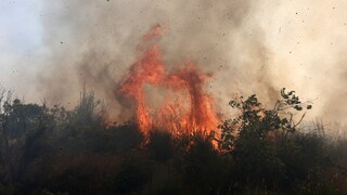 Εφιαλτικά σενάρια: Πυρκαγιές, ποτάμια χωρίς νερό και άνοδος της στάθμης της θάλασσας στην Ελλάδα