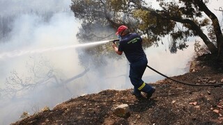 Φωτιά στη Λακωνία - Καίει σε χορτολιβαδική έκταση στον Ευρώτα