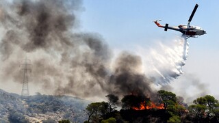 Πυροσβεστική: Αναζωπυρώσεις στη Δυτική Αττική - Ανεξέλεγκτη η φωτιά στη Ρόδο