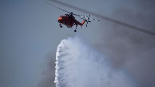 Οριοθετήθηκε η πυρκαγιά σε δασική έκταση στην Τανάγρα