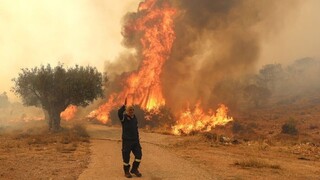 Τεράστια καταστροφή από τις φωτιές στην Ελλάδα - Στάχτη 164.000 στρέμματα