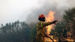 Φωτιά στη Λακωνία: Μεγάλη αναζωπύρωση στην περιοχή Πυρί