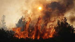 Εκπρόσωπος Πυροσβεστικής: Ακραίες συνθήκες δημιουργούν δυναμικά μέτωπα πυρκαγιάς