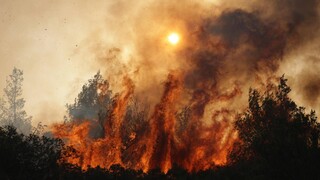 Πυρκαγιές: Μετρούν τις «πληγές» τους στη Μάνδρα - Μεγάλη αναζωπύρωση στη Ρόδο