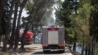 Ρόδος: Κάτοικοι και τουρίστες τρέχουν να σωθούν από τη φωτιά - Δραματική έκκληση από πυροσβέστες