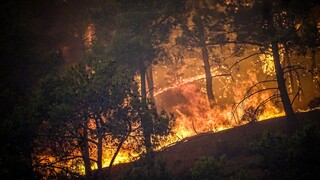Φωτιά στη Ρόδο: Συγκλονιστικά βίντεο από τη μάχη των πυροσβεστών με τις φλόγες