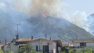 Φωτιά στο Αίγιο: Καίγεται έκταση στη θέση Δερβενάκι στην Μαμουσιά
