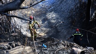 Φωτιά στην Επίδαυρο: Στις φλόγες αγροτοδασική έκταση στο Μετόχι
