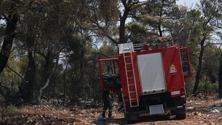 Αρτοποιός για Ρόδο: Εξακολουθεί να είναι το μεγαλύτερο μέτωπο - Σε εξέλιξη 82 δασικές πυρκαγιές