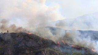 Φωτιά στο Αίγιο: Εντολή εκκένωσης του οικισμού Κάστρο