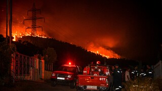 Πυρκαγιές στην Ελλάδα: Ανεξέλεγκτη η φωτιά σε Ρόδο, Αίγιο, Κέρκυρα και Κάρυστο - Εκκενώσεις οικισμών