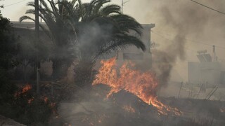 Φωτιά στη Ρόδο: Η μάχη με τις φλόγες στο Ασκληπιείο μέσα από οκτώ «κλικ»