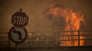 Πυρκαγιές: Συγκλονιστικά βίντεο από την Αθηνών - Λαμίας: Aυτοκίνητα ανάμεσα στις φλόγες