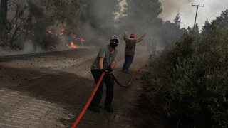 Νέα φωτιά στην Κύμη της Εύβοιας - Στη «μάχη» επίγειες και εναέριες δυνάμεις