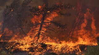 Explainer video: Τι είναι οι mega-fires και γιατί μας απειλούν;