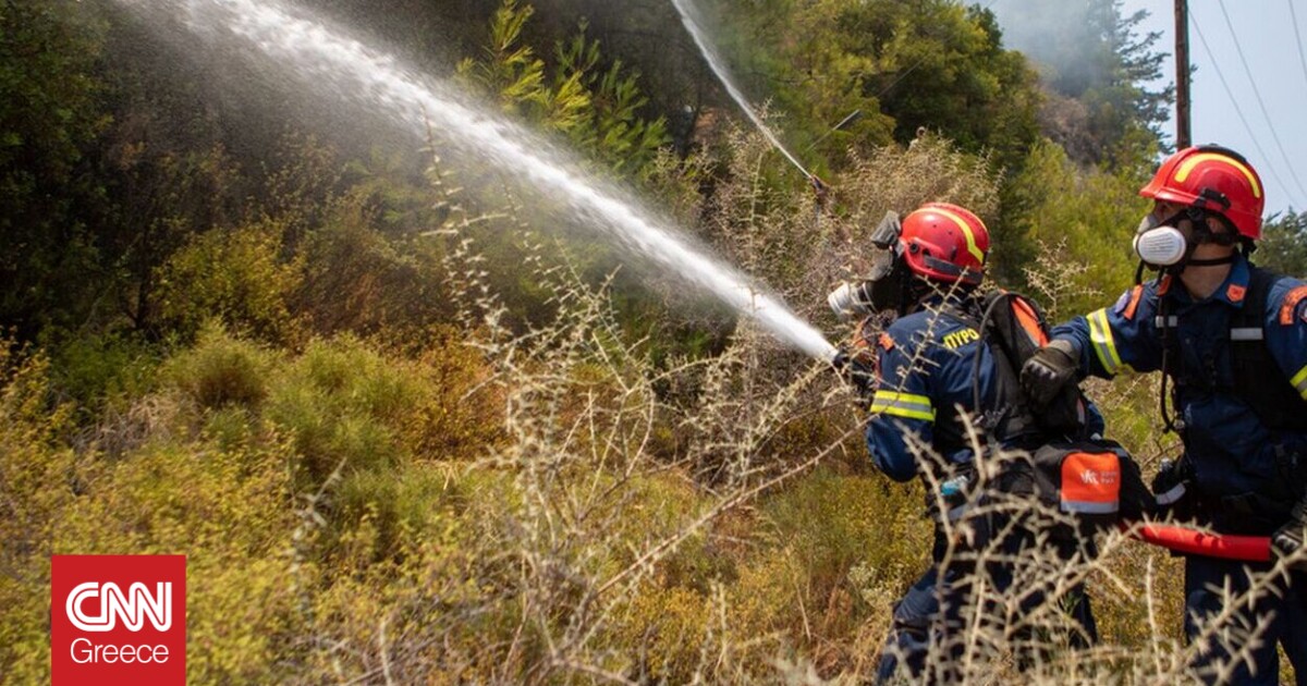 Πυρκαγιά σε δασική έκταση στον Προφήτη Ηλία στην Πέλλα