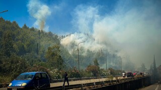 Πυρκαγιά στην Ηλεία: Βελτιωμένη η εικόνα στα πύρινα μέτωπα - Προσήχθη ένας ύποπτος