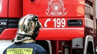 Πυρκαγιά στα Διευχά Χίου - Καίει σε πευκόδασος