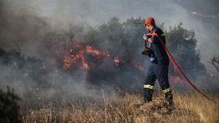 Φωτιά στη Χίο: Ενισχύθηκαν οι πυροσβεστικές δυνάμεις - Καίει πευκοδάσος
