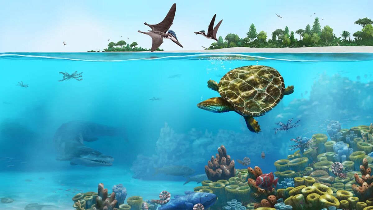 230728110250-01-jurassic-sea-turtle-fossil-illo.jpg