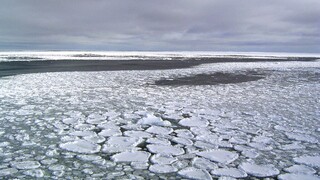 Η Ανταρκτική έχασε πάγους σε μέγεθος… Αργεντινής