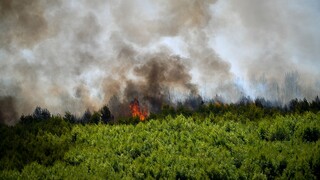 Σε ποιες περιοχές είναι υψηλός ο κίνδυνος πυρκαγιάς σήμερα