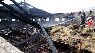 Πόσα «πληγωμένα» κτήρια άφησαν πίσω τους οι πυρκαγιές